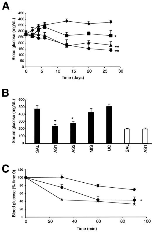 FIG. 3. Inhibition of PTEN expression lowers glucose and increases insulin sensitivity in db/db mice. A: Time- and dose-dependence of glucose-lowering effects of PTEN AS1. db/db mice were injected intraperitoneally once a week with saline (⧫) or 10 mg/kg (▪), 25 mg/kg (▴), or 50 mg/kg(•) of AS1 in saline. Mice were bled every 2 days for the first week and then once a week thereafter, 6 days after the previous dose. Values are expressed as means ± SE (n = 6–8). Statistical analysis was done using ANOVA repeated measures followed by Bonferroni-Dunn. Compared with saline-treated, **P < 0.0001, *P < 0.01. B: Specificity of the antidiabetic effect of PTEN ASOs on serum glucose concentrations. db/db mice (▪, n = 5–6) were injected intraperitoneally with 50 mg/kg of indicated oligonucleotides for 4 weeks. Lean littermates (□, n = 5) were dosed with saline or 100 mg/kg of AS1. Statistics were performed using ANOVA, followed by Bonferroni-Dunn. Compared with saline-treated, *P < 0.005. C: Insulin tolerance test in PTEN antisense–treated mice. Mice were treated once a week for 3 weeks with saline (⧫) or 50 mg/kg AS1 (•) (n = 5). Lean controls (x) were untreated. Results are expressed as the mean ±SE percentage of the glucose concentration at time 0. Statistical analysis was done using ANOVA repeated measures followed by Bonferroni-Dunn. Compared with saline-treated, * P < 0.05.