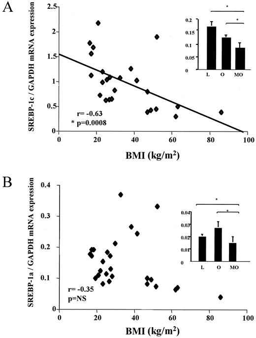 FIG. 3. Effect of obesity on SREBP1a/c mRNA expression in isolated adipocytes. SREBP1c (A) and SREBP1a (B) mRNA levels were measured using real-time quantitative RT-PCR in freshly isolated subcutaneous adipocytes from lean (L) (n = 11), obese (O) (n = 7), and morbidly obese (MO) (n = 8) subjects (*P < 0.0001). Results expressed as correlation between SREBP1a and -1c isoforms and BMI.
