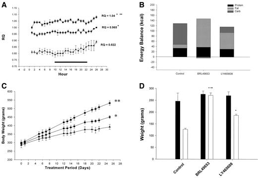 FIG. 2. A: Twenty-four hour RQ measurements in control (▴), BRL49653-treated (10 mg · kg−1 · day−1, ▪), and LY465608-treated groups (10 mg · kg−1 · day−1, •) on the 28th day of treatment. B: Energy balance (energy intake/ energy expenditure) in control, BRL49653-treated (10 mg · kg−1 · day−1), and LY465608-treated (10 mg · kg−1 · day−1) animals after 28 days of treatment. C: Body weight in control (▴), BRL49653-treated (10 mg · kg−1 · day−1, ▪), and LY465608-treated groups (10 mg · kg−1 · day−1, •). D: Lean (▪) and fat mass (□) in control, BRL49653-treated (10 mg · kg−1 · day−1), and LY465608-treated (10 mg · kg−1 · day−1) animals after 28 days of treatment. *Significantly different from control (P < 0.05); **significantly different from LY465608 (P < 0.05).