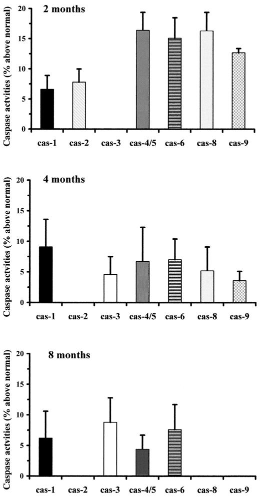 FIG. 1. Caspase activities in retinas of diabetic mice at different durations of diabetes. Retinas of diabetic (n = 9) and normal (n = 10) C57BL/6 mice were isolated at 2, 4, or 8 months. Cas activities of retinal lysates were measured as described in research design and methods. Activities are presented as the percentage (mean ± SD) above normal. Only means ± SD of caspases activities that were significantly different from normal with P < 0.05 (Mann-Whitney U test, two-tailed) are presented.