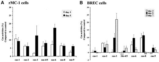 FIG. 6. Hyperglycemia-induced caspase activation in rMC and endothelial cells. rMC-1 cells (A) and BRECs (B) were incubated in low (5 mmol/l) and high (25 mmol/l) glucose for the times indicated. Caspase activities of cell lysates were measured as described in research design and methods. Activities are presented as the percentage (mean ± SD) compared with control (5 mmol/l glucose). The figure represents the result of n = 11 (rMC-1) and n = 4 (BREC) independent experiments.