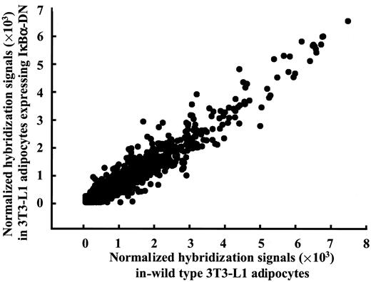 FIG. 7. Global gene expression profile in wild-type 3T3-L1 adipocytes and adipocytes expressing IκBα-DN. The global gene expression profiles of wild-type 3T3-L1 adipocytes or 3T3-L1 adipocytes expressing IκBα-DN were assessed using oligonucleotide microarray analysis as described in research design and methods. A total of 12,488 genes and ESTs present on the murine U74av2 array were plotted using a scatter plot. The position of each gene on the plot is determined by its expression levels in wild-type adipocytes (x-axis) and IκBα-DN (y-axis).