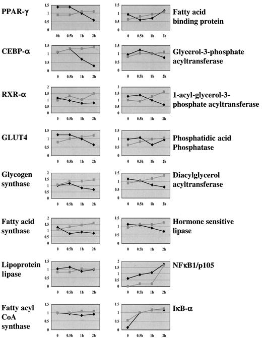 FIG. 9. Comparison of the effects of TNF-α on mRNA levels of several adipocyte-abundant genes in wild-type and IκBα-DN 3T3-L1 adipocytes. Wild-type (black line) or IκBα-DN 3T3-L1 (gray line) adipocytes were treated with TNF-α (1 nmol/l) for 0, 0.5, 1, and 2 h. Total RNAs isolated from each time point were analyzed by microarray analysis as described in research design and methods. Normalized hybridization signals of the indicated genes were plotted as a function of time.