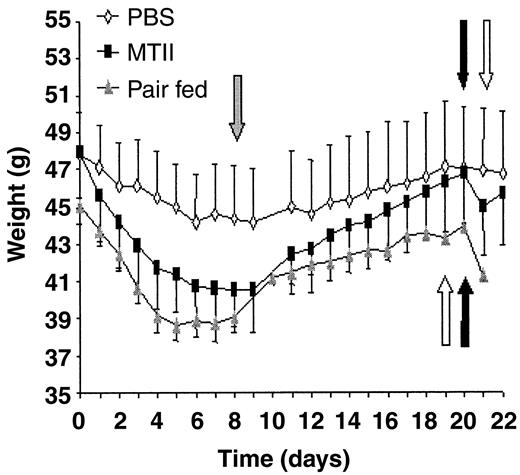 FIG. 1. Longitudinal study. Daily measurement of body weight of the DIO-C57BL/6J mice treated with either PBS (n = 5) or MTII (n = 4) or those pair-fed (n = 4) with the MTII treated group for 18 days. Discontinuation of MTII treatment is indicated by a gray arrow, rechallenge with leptin by a white arrow, and rechallenge with MTII by a black arrow. The weight loss of the MTII-treated group is significantly different from that of the PBS group over the 8-day treatment period, using repeated measures ANOVA (P < 0.01).