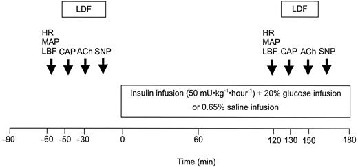 FIG. 1. Design of the study. Measurements started after 30 min of acclimatization. ACh, iontophoresis of acetylcholine; CAP, intravital capillaroscopy; HR, heart rate; LBF, leg blood flow assessed with venous occlusion plethysmography; LDF, laser Doppler flow measurement used to assess vasomotion; SNP, iontophoresis of sodium nitroprusside. A time- and volume-control study was performed 1 week after the clamp procedure in an identical fashion, but without insulin and glucose infusion.