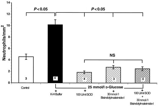 FIG. 5. Neutrophil adherence to isolated segments of rat SMA. Neutrophils were isolated from autologous blood and fluorescence-labeled with the P2KH linker system (Sigma, St. Louis, MO). Bisindolylmaleimide-I significantly attenuated the number of neutrophils adhering to SMA endothelium activated with 25 mmol/l d-glucose. Similar results were obtained with SOD. Bar heights represent mean values; brackets indicate ± SE. Numbers at base of bars indicate the numbers of rats studied in each group. Three to four SMA segments were studied in each rat.