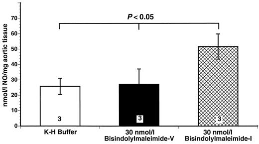 FIG. 6. Inhibition of PKC activity increases release of NO from the endothelium of the rat aorta. Incubation of isolated rat aortic strips with the PKC inhibitor bisindolylmaleimide-I significantly increased basal release of NO. Bar heights represent mean values; brackets indicate ± SE. Numbers at base of bars indicate the numbers of rats studied in each group. Three to four aortic segments were studied in each rat.