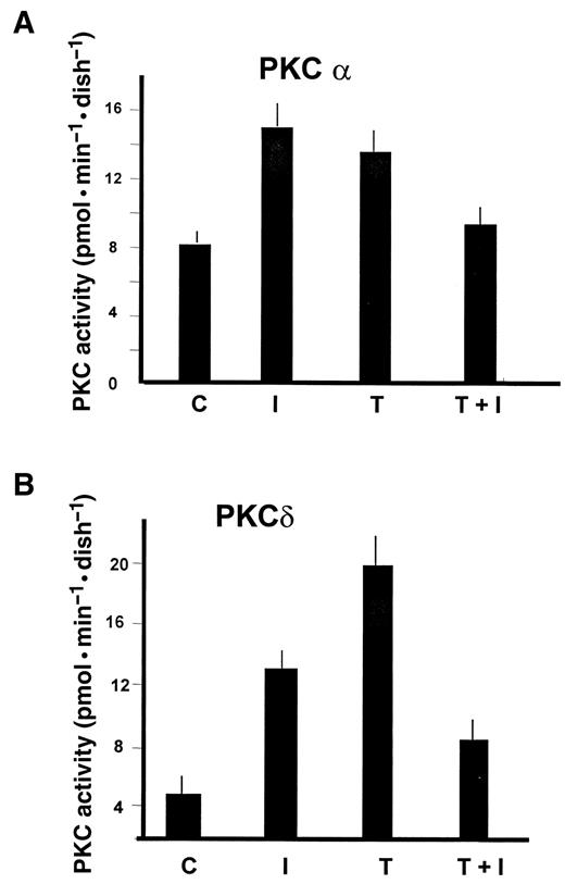 FIG. 4. TNF-α reduces insulin-induced activity of specific PKC isoforms in cultured mouse skeletal myotubes. Cells were either untreated (C) or treated with insulin for 5 min (I), with 1 nmol/l TNF-α for 5 min (T), or with TNF-α for 5 min before addition of insulin for 5 min (T+I). Cell lysates were immunoprecipitated with specific antibodies against PKCα (A) or PKCδ (B). Activity was determined with a SignaTECT PKC Assay System. The values represent the means ± SE of three measurements in three separate cultures.