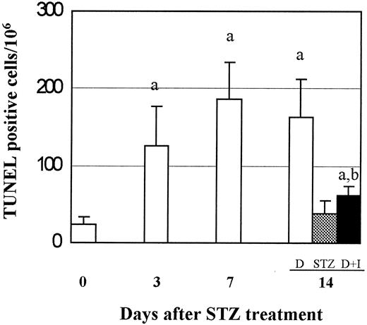 FIG. 2. Quantitative analysis of apoptotic cell death in the heart of diabetic mice. TUNEL-positive cells were quantified in the diabetic (D) mice at indicated times. TUNEL-positive cells were also quantified in the STZ control (STZ) and insulin-supplemented diabetes (D + I) groups at day 14 after STZ treatment. a, P < 0.05 vs. control (day 0); b, P < 0.05 vs. D.
