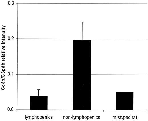 FIG. 1. Lymphopenia-scoring by PCR. Quantitative PCRs were used to evaluate the lymphopenic state of rats. Six lymphopenic and six nonlymphopenic rats from our backcross pedigree were scored (first and second columns). The third column indicates the result from the rat originally mistyped as a nonlymphopenic. Values are the Cd8b-specific band intensity divided by the control (G6pd) band intensity.