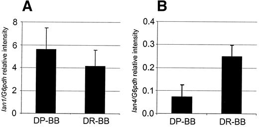 FIG. 7. Quantitative RT-PCR of rat Ian1 and -4 in rat thymus. Five DP-BB and five DR-BB rats were scored for Ian1 (A) and Ian4 (B). Values are the Ian-specific band intensity divided by the control (G6pdh) band intensity.