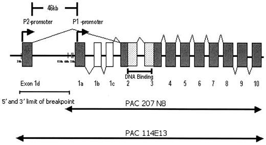 FIG. 4. Schematic representation of the HNF4A gene and promoters (not drawn to scale). The 13 exons of HNF4A are shown, including the alternatively spliced exons 1a, 1b, 1c, and 1d. The 5′ splice donor site of exon P2 is ∼46 kb upstream of the P1 promoter start site (2). The enhancer element is shown ∼6 kb upstream of P1. The upper and lower limits of the break point are shown.