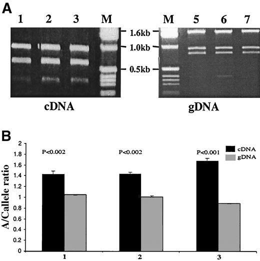 FIG. 1. Expression analysis of the IL-12p40 gene in heterozygous individuals. A: Fragment of 844 and 1682 bp containing the C1159A SNP was amplified from cDNA and genomic DNA of three heterozygous individuals, respectively. The PCR products were digested by Taq-1 and electrophoresed on 1.5% agarose gels. The digested 1159C allele yields two fragments of 549 and 295 bp from cDNA and 906 and 776 bp from genomic DNA. B: Ratio of 1159A vs. 1159C allele in cDNA and gDNA. The intensities and background for each band were measured using the Eagle Eye documentation system. The total intensity for the digested 1159C allele was derived from the two digested bands. The mean and SDs from three replicates are presented in the chart. The difference of ratios between cDNA and genomic DNA was tested using the Student’s t test. These results suggest that the 1159A allele is expressed at a higher level than the 1159C allele.