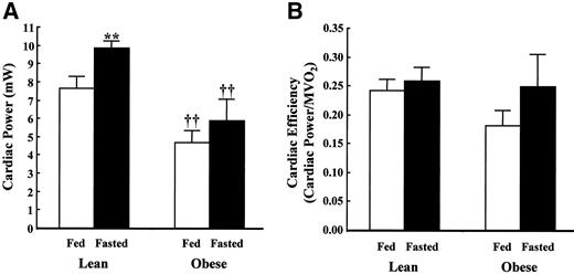 FIG. 3. Cardiac power (A) and efficiency (B) by perfused lean and obese Zucker rat hearts. Data are means ± SE for between six and nine independent observations. **P < 0.01 for lean fed vs. lean fasted; ††P < 0.01 for lean vs. obese at the same nutritional status.