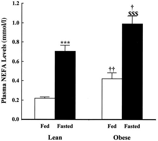 FIG. 4. Plasma NEFA levels in lean and obese Zucker rat hearts. Data are means ± SE for six independent observations. ***P < 0.001 for lean fed vs. lean fasted; $$$P < 0.001 for obese fed vs. obese fasted; †P < 0.05 and ††P < 0.01 for lean vs. obese at the same nutritional status.