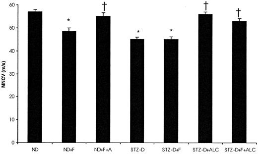 FIG. 1. Effects of nonselective COX inhibition and ALC treatment on sciatic MNCV in ND and STZ-D rats (experiment 1). During the 4-week treatment period, ND and STZ-D rats were left untreated or were treated with the nonselective COX inhibitor flurbiprofen (F) (6 mg · kg−1 · day−1 in drinking water) and/or ALC (50 mg · kg−1 · day−1 by gavage), after which MNCV was measured in the left sciatic-tibial conducting system as outlined in research design and methods. See Table 1 for explanation of experimental groups. Data are means ± SE. *P < 0.05 vs. ND; † P < 0.05 vs. STZ-D.