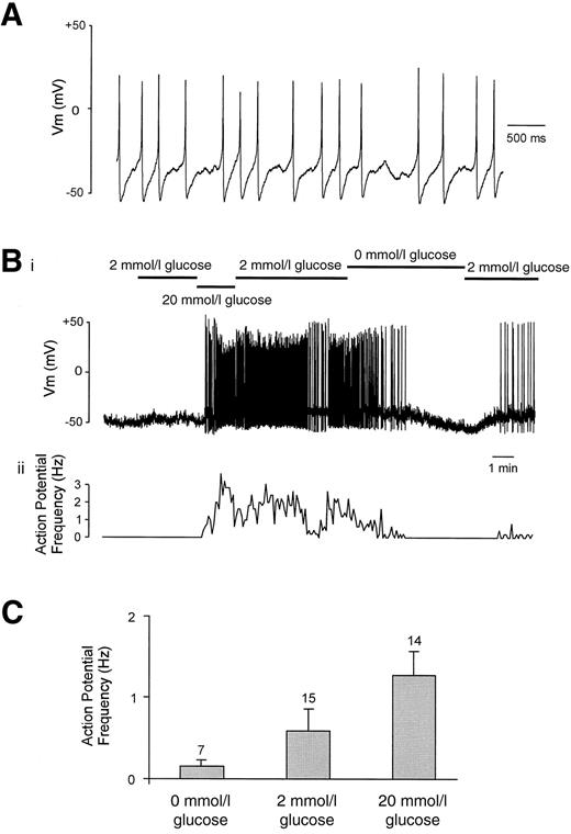 FIG. 1. Action potential frequency in GLUTag cells is modulated by glucose. A: Action potentials from an individual GLUTag cell in a current-clamp recording, using the perforated-patch whole-cell configuration of the patch clamp setup. The cell was perfused with 20 mmol/l glucose. B: Action potential frequency was modulated by perfusion with different glucose concentrations (indicated by the horizontal bars). A representative current clamp trace (i) and corresponding action potential frequency (ii) are shown. The action potential frequency was determined by counting events crossing above a threshold of −10 mV, with a bin size of 5 s. C: Mean action potential frequency at 0, 2, and 20 mmol/l glucose. The number of cells is given above each bar. Error bars represent 1 SE.