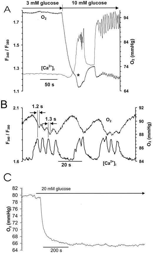FIG 3. A: Simultaneous measurement of oxygen and [Ca2+]i in a single islet as glucose is changed from 3 to 10 mmol/l. Conditions for measurement were similar to that in Fig. 1 except the islet was loaded with fura-2/AM, and [Ca2+]i was measured as the ratio of fluorescence at 340 nm and 380 nm (F340/F380) (53). The initial decrease in oxygen precedes the initial increase in Ca2+ by 20 s. The asterisk indicates an increase in oxygen consumption that occurs after Ca2+ rises. B: Enlarged view of simultaneous oxygen and [Ca2+]i during oscillation period. The fast pulses of Ca2+ correspond well with the fast decreases in oxygen. In general, the Ca2+ pulse appears ahead of the oxygen pulse by ∼1 s. This close proximity is in contrast to the initial rise seen in A. C: Effect of a change from 3 to 20 mmol/l glucose on oxygen in the presence of 0.1 mmol/l Ca2+. The islet was initially perfused with 3 mmol/l glucose, and at the time indicated, glucose was changed to 20 mmol/l. The oxygen consumption increases; however, no acceleration or development of significant oscillations occurs. A and B are adapted with permission from Jung et al. (56).