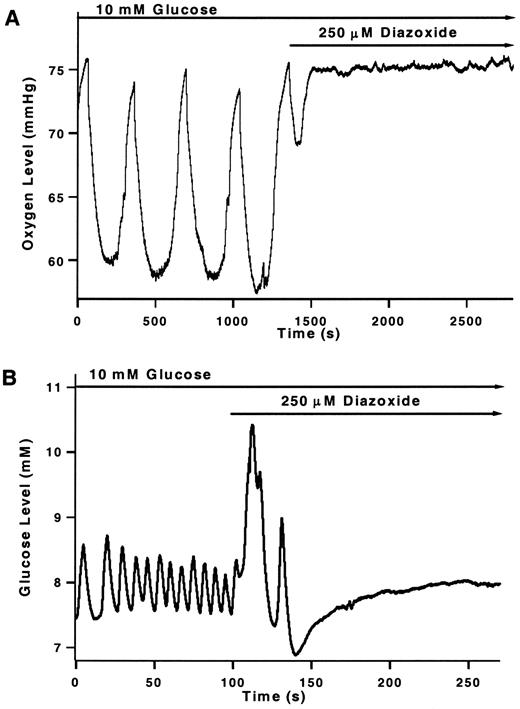 FIG 5. Effect of diazoxide on oxygen oscillations (A) and glucose oscillations (B). Recordings were made similarly to those in Figs. 1 and 2 but at different islets. At the time indicated, the perfusion buffer was changed to a buffer containing 250 μmol/l diazoxide. Data are representative of experiments at five different islets for each type of measurement.