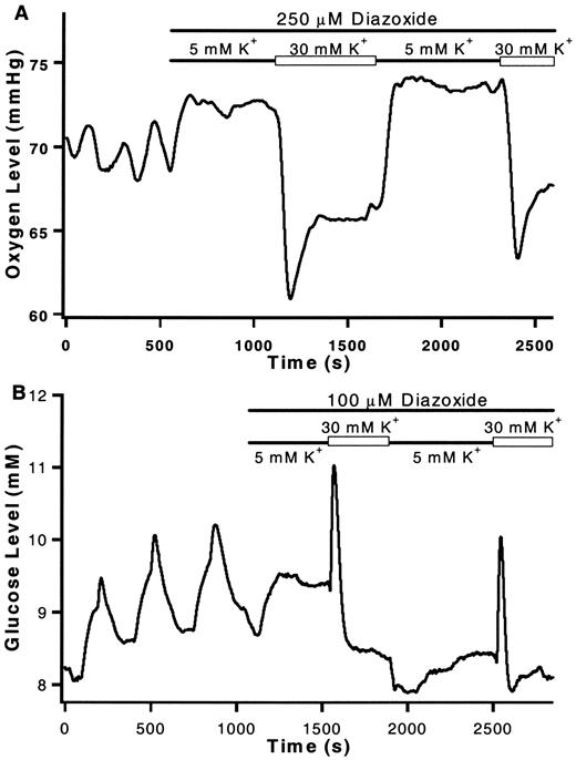 FIG 6. Effect of K+-induced depolarization on oxygen consumption (A) and glucose consumption (B). Experimental conditions were similar to those in Figs. 1 and 2. After establishing oscillations at 10 mmol/l glucose, the islet was perfused with buffer containing 100 or 250 μmol/l diazoxide to block oscillations. As shown, the buffer was periodically switched between 5 and 30 mmol/l K+ to alternately depolarize and repolarize the plasma membrane. Switches to 30 mmol/l K+ evoked a short-lived decrease in glucose consumption followed in some cases, such as the one shown here, by a small increase in consumption. Oxygen consumption showed a strong increase that lessened with time. Opposite effects occurred with a switch to 5 mmol/l K+. Oxygen and glucose measurements were made in separate islets.