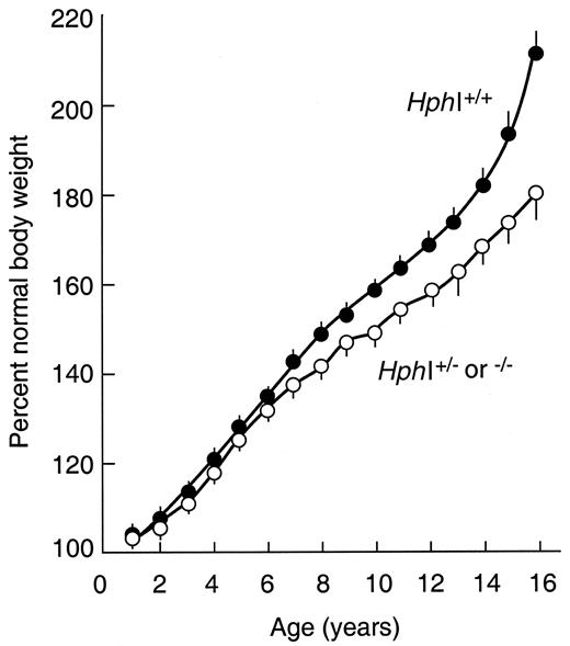 FIG. 5. Evolution of adiposity at adolescence in two genotypic groups of obese children and adolescents in the Saint Vincent cohort (47). The HphI T/T VNTR I/I obese patients showed a more rapid weight gain in late childhood and adolescence. Averaged longitudinal weight curves (normalized to normal weight value for age and height) are plotted versus chronological age in the two genotypic groups of obese children. Curves were constructed from the study of 332 patients whose yearly individual data could be collected from personal health records, from birth until time of study. Statistical analysis using repeated measures ANOVA as well as randomization-permutation tests indicated a highly significant difference between genotypic groups (P < 0.001). Reprinted with permission from Le Stunff et al. [47]).