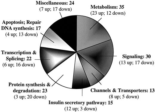 FIG. 1. Functional clusters of glucose-responsive genes in FACS-purified rat β-cells. To assess which genes are responsible for the glucose-responsive phenotype of rat β-cells, mRNA profiles of β-cells cultured for 24 h in 3 or 10 mmol/l glucose, were compared via Affymetrix rat Genome U34A oligonucleotide arrays, as described by Flamez et al. (16).