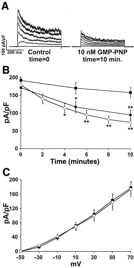 FIG. 2. The inhibitory effect of GLP-1 receptor activation is replicated by direct G-protein activation and is blocked by antagonism of cAMP signaling. Intracellular dialysis of the nonhydrolyzable GTP analog GMP-PNP (10 nmol/l) antagonized voltage-dependent outward K+ currents in β-cells, similar to the effect of exendin 4. Representative traces are shown in A. B: Maximum outward K+ current is plotted against time after intracellular access. Perfusion of exendin 4 (10−8 mol/l; ○) or intracellular dialysis of GMP-PNP (10 nmol/l; •) resulted in a time-dependent decrease in maximum currents compared with control (▪). C: Cells were pretreated with the cAMP pathway antagonist Rp-cAMPS (100 μmol/l). In the continued presence of 100 μmol/l Rp-cAMPS, exendin 4 (10−8 mol/l; ○) was no longer able to antagonize outward K+ currents compared with control (▪). *P < 0.05, **P < 0.01 compared with time = 0.