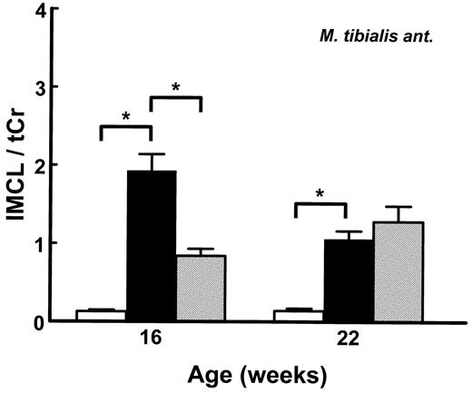 FIG. 5. In vivo 1H-MRS data for IMCL/tCr in M. tibialis anterior in lean control (white bars), obese control (black bars), and obese RGZ-treated (grey bars) ZDF rats at the ages of 16 and 22 weeks (protocol C). Values are means ± SE, n = 6–8. *P < 0.001.