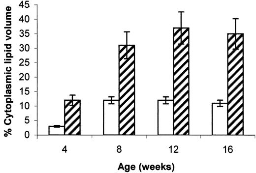 FIG. 4. The progressive alterations in cytoplasmic volume occupied by lipid vacuole accumulation in control (+/?; □) and diabetic (db/db; [cjs2113]) endometrial epithelial cells at ages 4, 8, 12, and 16 weeks was determined using digital lipid subtraction photographic analysis (Fig. 2, column 3). Elevations in photodensitometry emissions were used to index progressive cytoplasmic lipid volume occupation in control and db/db endometrial epithelial tissue samples. All values are represented as the percent of cytoplasmic volume for 20–50 photographic evaluations per group and genotype at the designed age intervals. *P ≤ 0.05.