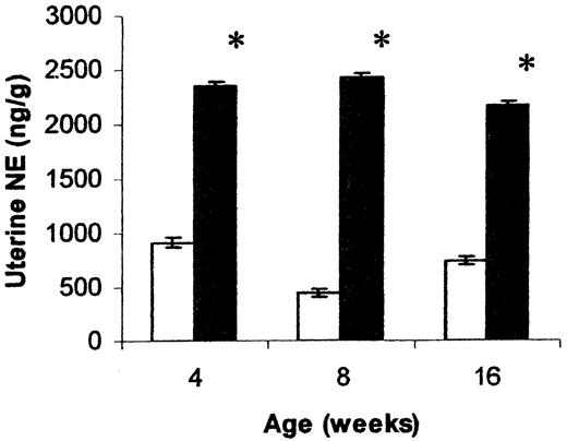 FIG. 6. Alterations in uterine NE concentrations of control (+/?; □) and diabetic (db/db; ▪) groups at ages 4, 8, and 16 weeks. All values are expressed as group means (±SE) for five to eight animals per group. *P ≤ 0.05 for differences between control and diabetic values at the indicated ages (weeks).
