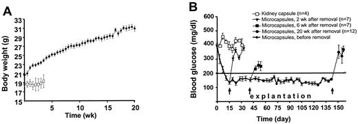 FIG. 1. The mice that received a transplant of microencapsulated NPCCs gained weight (A) and maintained normoglycemia (B). Blood glucose levels of the mice that received a transplant of “naked” NPCCs (open squares, n = 4) remained high. For mice that received a transplant of encapsulated NPCCs (black diamonds, n = 26), hyperglycemia was reversed in 26 of 32 mice (81%), with normoglycemia being maintained until the end of 20 weeks; the six unsuccessful transplants are not included on the graph. Mice with explanted microcapsules at 2, 6, or 20 weeks (7, 7, and 12 mice, respectively) rapidly became hyperglycemic, indicating efficacy of microencapsulated NPCCs.