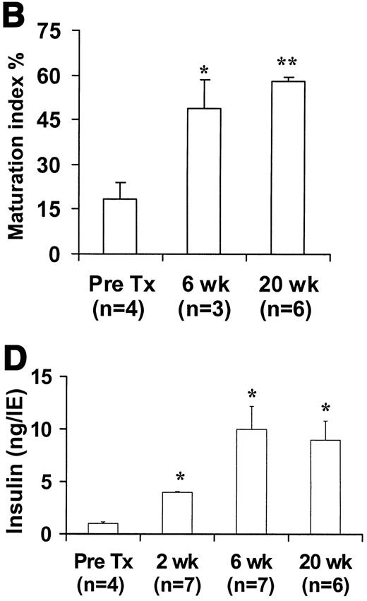 FIG. 5. β-Cells can differentiate within the Ba-alginate capsules. A: Dithizone-stained NPCCs in microcapsules indicated availability of insulin at 2, 6, and 20 weeks. Bar = 500 μm. B: A marked increase in the maturation of NPCCs (*P < 0.01 and **P < 0.001 versus pretransplantation), expressed as the “maturation index” (insulin-positive area divided by pan-CK-positive area), was determined. C: Representative sections of NPCCs showing before transplantation and an increase of the area of the positively stained cells for insulin 20 weeks after transplantation. Insulin (Texas Red) and pan-CK (FITC, green). Bar = 100 μm. D: Graft insulin content of encapsulated NPCCs increased after transplantation (*P < 0.001 compared with pretransplant level, n represents each mouse from which triplicate samples were analyzed). In NPCCs removed from noncured animals (data not included), insulin content was lower than in cured animals (P < 0.001). Pretransplantation insulin levels in NPCCs of unsuccessful experiments were also lower than in cured preparations.