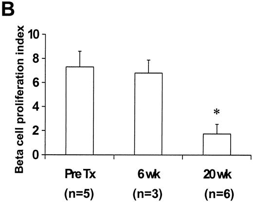 FIG. 7. Proliferation index of the β-cells decreased after transplantation. Double immunostaining for Ki-67 and insulin was used to measure the proliferation index of the β-cells (number of Ki-67-positive β-cells over the total number of β-cells). A: Representative sections of NPCCs stained for Ki-67 (FITC, green) and insulin (Texas Red), with the left panel an NPCC before transplantation and the right panel a graft 20 weeks after transplantation. Bar = 25 μm. B: Proliferation index of the β-cells decreased 20 weeks after transplantation as compared with pretransplantation and 6 weeks after transplantation; *P < 0.05 compared with pretransplantation or 6 weeks.