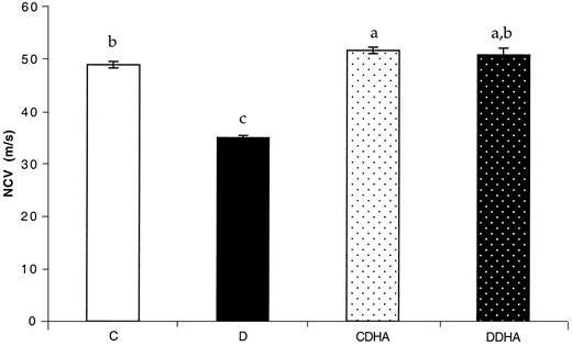 FIG. 1. NCV was recorded from control (C) and diabetic (D) rats supplemented or not with DHA liposomes (60 mg · kg−1 · d−1). Results, expressed in m/s, are means ± SEM (n = 10). Bars not bearing at least one same superscript letter are significantly different.