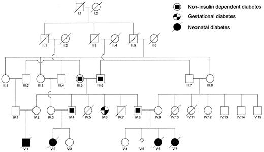 FIG. 1. Pedigree of the consanguineous family with autosomal recessively inherited neonatal diabetes.