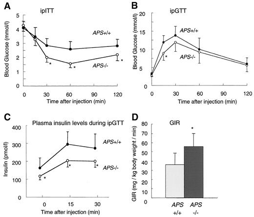 FIG. 2. Increased insulin sensitivity in APS−/− mice. A: Blood glucose levels during the IPITT in APS+/+ (•) and APS−/− mice (○) at age 8–9 weeks (+/+, n = 10; −/−, n = 13). B and C: Blood glucose levels (B) and plasma insulin levels (C) during the IPGTT at age 8–9 weeks (+/+, n = 12; −/−, n = 10). D: Glucose infusion rate measured using an euglycemic-hyperinsulinemic glucose clamp test as described in research design and methods. Insulin-mediated whole-body glucose uptake was determined in anesthetized mice aged 9–11 weeks (+/+, n = 10; −/−, n = 12). The averages of body weight of APS+/+ and APS−/− mice were 25 and 27 g, respectively. No correlation between body weight and glucose infusion rate was evident. All values are expressed as means ± SD. *P < 0.05 vs. APS+/+ mice.