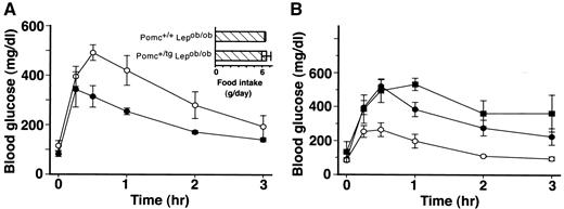 FIG. 4. Effects of pair-feeding (A) and body weight (B) on glucose tolerance in Pomc+/+ Lepob/ob mice. Pomc+/+ Lepob/ob mice were pair-fed to the amount of food intake of age-matched Pomc+/tg Lepob/ob mice for 2 weeks. Glucose tolerance tests were performed in Pomc+/tg Lepob/ob mice (age 18 weeks) and age-matched Pomc+/+ Lepob/ob and weight-matched Pomc+/+ Lepob/ob mice (age 12 weeks). A, inset: Average food intake (g/day) of ad libitum-fed Pomc+/tg Lepob/ob and pair-fed Pomc+/+ Lepob/ob mice. Data are means ± SE (n = 4–6). Curves are significantly different (A: P < 0.0001, B: P < 0.05, two-way ANOVA). A: ○, Pomc+/+ Lepob/ob; •, Pomc+/tg Lepob/ob. B: ○, Pomc+/tg Lepob/ob (45.0 ± 2.4 g); •, Pomc+/+ Lepob/ob (66.8 ± 3.5 g); ▪, Pomc+/+ Lepob/ob (46.1 ± 1.0 g).