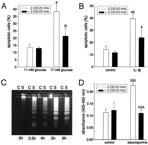 FIG. 1. Effect of inhibitor of caspase-3–like proteases (Z-DEVD-fmk, 50 μmol/l) on apoptosis induced by 17 mmol/l glucose (A) or 2 ng/ml IL-1β (B) in ob/ob mouse pancreatic β-cells. Data are expressed as means ± SE (*P < 0.05 vs. 11 mmol/l glucose; P < 0.05 vs. 17 mmol/l glucose; ##P < 0.01 vs. control; #P < 0.05 vs. IL-1β; n = 3). Staurosporine activates apoptosis and caspase-3–like proteases in insulin-producing RIN5mF cells (C and D). C: DNA fragmentation in control (C) and staurosporine-treated (S; 6 μmol/l) RIN5mF cells after different times of treatment (n = 3) D: Effect of Z-DEVD-fmk (10 μmol/l) on staurosporine-induced (6 μmol/l) caspase-3 activity in RINm5F cells after 3 h of incubation. Enzyme activity was measured in cell lysates by spectrophotometric detection using caspase-3 substrate DEVD-p-nitroaniline. Data are expressed as means ± SE (§§§P < 0.001 vs. control; &&&P < 0.001 vs. staurosporine; n = 4 without Z-DEVD-fmk; n = 3 with Z-DEVD-fmk).