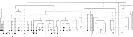 FIG. 1. Genealogical lineages of 117 type 2 diabetic patients who could be traced to a common ancestor within 13 generations. The figure is based on the shortest number of meiosis separating each person from this common ancestor.