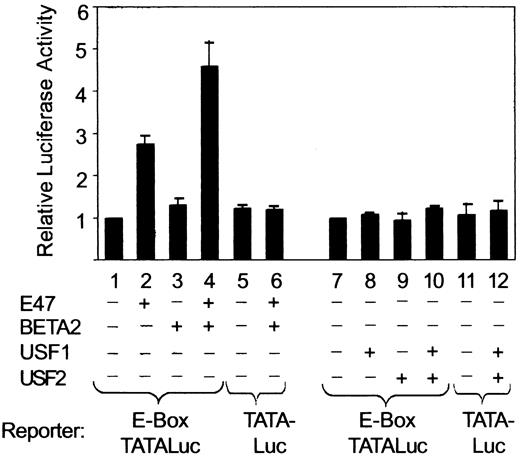 FIG. 4. BETA2:E47 activates βGK E-box dependent expression. The βGK E-Box-TATA-Luc (lanes 1–4 and 7–10) and TATA-Luc reporters (lanes 5, 6, 11, and 12) were cotransfected into BHK cells with expression vectors encoding for E47, BETA2, USF1, and USF2, as indicated. Values are expressed as the normalized fold induction ± SD relative to the reporter gene alone.
