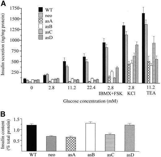 FIG. 8. Antisense-transfected clones of MIN6 cells lacking Cx36 show altered insulin secretion. A: Cells were incubated in the presence of different glucose concentrations (0–22.4 mmol/l) ± 100 μmol/l IBMX and 1 μmol/l FSK, 20 mmol/l KCl, or 15 mmol/l TEA. Wild-type cells (▪) and cells transfected with a neomycin-resistance gene () increased insulin secretion with glucose concentration and were similarly potentiated by IBMX plus FSK, KCl, and TEA. In contrast, the four antisense-transfected clones (□, , [cjs2106], and ) did not respond to glucose stimulation and, when compared with controls, showed a reduced secretory response to both IBMX plus FSK, KCl, and TEA. B: Insulin content of the four antisense-transfected clones was in the range of that observed in wild-type and neomycin-transfected cells.