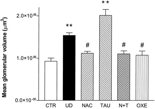 FIG. 6. MGV μm3) in CTR and diabetic rats, untreated or treated with active molecules. *P < 0.05 vs. CTR; **P < 0.01 vs. CTR; #P < 0.05 vs. UD.