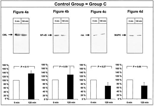 FIG. 4. Control group. Nuclear or cytoplasmic fractions of PBMCs of the control group (n = 5) were separated by SDS-PAGE (10% gel) and subjected to immunoblotting using an antibody for CML (A) or for NF-κB-p65 (B) or were separated by SDS-PAGE (12%) and subjected to immunoblotting with an antibody for p21ras (C) and p42/p44 MAPK antigen (D) obtained at 0 min or after 120 min in the control group (n = 5). A representative patient is shown on top, and the result of the whole group (± SD√n) is shown on bottom. The Western blot signal of antigen obtained at 0 min was defined as 100% and related to the signal intensity after 120 min.