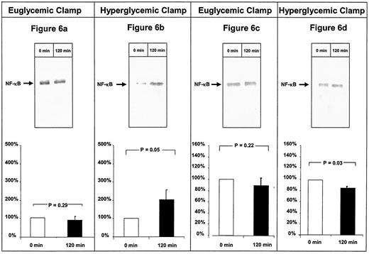 FIG. 6. NF-κB-p65-antigen in PBMCs isolated before and after a euglycemic or hyperglycemic clamp. Nuclear (A and B) and cytoplasmic (C and D) fractions of PBMCs were separated by SDS-PAGE (10% gel) and subjected to immunoblotting using an antibody for NF-κB-p65. The Western blot signal of NF-κB-p65-antigen obtained before euglycemic (n = 9 volunteers) (A and C) or hyperglycemic (n = 9 volunteers) (B and D) clamp was defined as 100% and was put in relation to the signal intensity after a euglycemic or hyperglycemic clamp. NF-κB-p65-antigen of a representative volunteer is shown on top, and the result of the whole group (± SD√n) is shown on bottom.