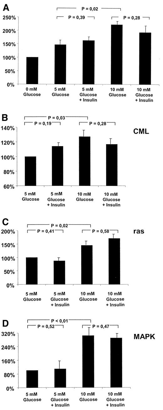 FIG. 8. NF-κB in EMSA and CML, p21ras, and p42/p44 MAPK antigen in Western Blot from PBMCs in 0, 5, or 10 mmol/l glucose with or without insulin. Peripheral blood mononuclear cells (PBMCs) obtained from a healthy volunteer were separated immediately after venipuncture as described in research design and methods. Cells were kept in DMEM in 0 mmol/l glucose, 5 mmol/l glucose without and with insulin (250 μU/ml), or 10 mmol/l glucose without and with insulin (250 μU/ml) for 2 h. After 120 min, cells were harvested and nuclear or cytoplasmic proteins were prepared as described in research design and methods. Ten micrograms of each nuclear extract were analyzed by EMSA for binding activity of NF-κB to a NF-κB consensus motif. The EMSA signal obtained from mononuclear cells kept in 0 mmol/l glucose was defined as 100% and related to the signal intensity obtained from cells kept in 5 or 10 mmol/l glucose (A). Cytoplasmic fractions of PBMCs were separated by SDS-PAGE (10%) and subjected to immunoblotting with an antibody for CML antigen or were separated by SDS-PAGE (12%) and subjected to immunoblotting with an antibody for p21ras and p42/p44 MAPK antigen. The Western blot signal of CML (B), p21ras (C), and p42/p44 MAPK antigen (D) obtained from cytoplasmic fractions of PBMCs kept in 5 mmol/l without insulin were defined as 100% and related to the signal of PBMCs kept in 5 mmol/l with insulin, the signal of PBMCs kept in 10 mmol/l without insulin, and the signal of PBMCs kept in 10 mmol/l with insulin. Results represent the mean of three experiments ± SD√n.