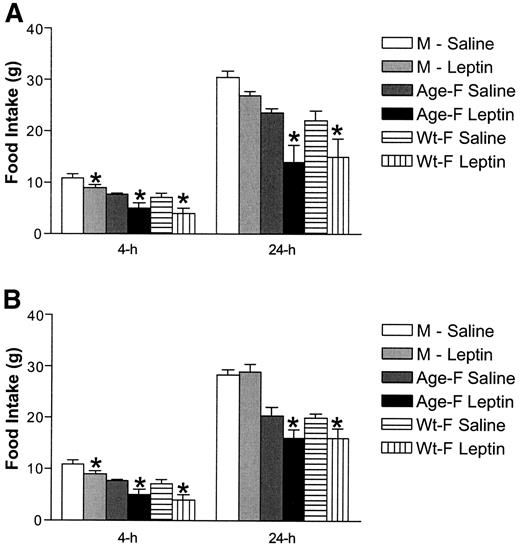 FIG. 2. A: Female rats reduce their food intake to a greater extent than male rats when administered leptin i3vt. The same rats as in experiment 1 were subsequently administered leptin (3.5 μg/2 μl saline) or saline alone (2 μl) i3vt. Repeated measures ANOVA revealed that whereas all three groups ate significantly less food after 4 h, only the female rats ate less over 24 h. Bars are means ± SE; *P < 0.05 relative to saline. B: Female rats reduce their food intake to a greater extent than male rats when administered leptin i3vt. The same rats were subsequently administered leptin (1.0 μg/2 μl saline) or saline alone (2 μl) i3vt. Repeated measures ANOVA revealed that whereas all three groups ate significantly less food after 4 h, only the female rats ate less over 24 h. Bars are means ± SE; *P < 0.05 relative to saline.