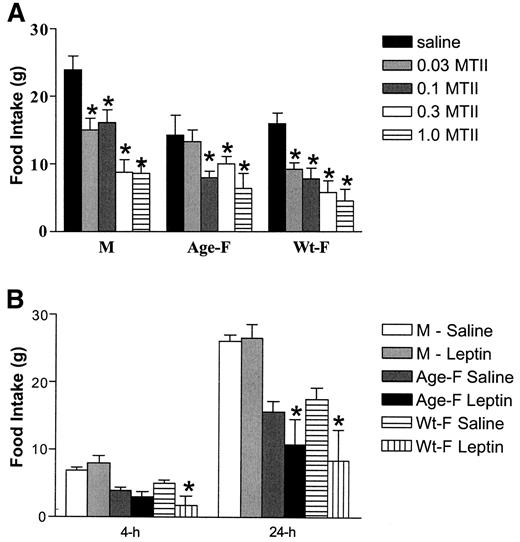 FIG. 3. A: Male and female rats reduce their food intake comparably when administered MTII. Male (M; n = 20) and female age- (Age-F; n = 15) and weight-matched (Wt-F; n = 15) Long Evans rats were administered MTII (0.01, 0.03, 0.1, 0.3, 1.0/2 μl) or saline alone (2 μl) i3vt on different days, the order being random for each rat. Repeated measures ANOVA revealed that MTII significantly reduced intake after 24 h in male and female rats. Bars are means ± SE; *P < 0.05 relative to saline. B: Female rats reduce their food intake to a greater extent than male rats when administered leptin i3vt. The same rats in A were subsequently administered leptin (3.5 μg/2 μl saline) or saline alone (2 μl) i3vt. Repeated measures ANOVA revealed that leptin significantly reduced intake 4 and 24 h in female but not in male rats. Bars are means ± SE; *P < 0.05.