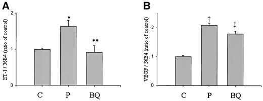 FIG. 7. Effect of BQ123 on ET-1 (A) and VEGF (B) mRNA levels elevated by PDGF-ΒB in BRPC. After 24 h of exposure to serum-free media, the cells were stimulated by 20 ng/ml PDGF-ΒB with or without pretreatment by a PKC specific inhibitor 1 μmol/l BQ123 for 30 min. After 4 h, cells were lysed and ET-1 and VEGF mRNA levels were measured by Northern blot analysis and quantified using phosphoimages of the blots probed with human ET-1 and VEGF cDNA, and normalized using 36B4 as the standard cDNA probe. The results were derived from three separate experiments, with duplicates performed in each experiment. Each bar represents the mean ± SE. C, control; P, addition of PDGF-ΒB without BQ123; BQ, addition of PDGF-ΒB with BQ123. *P < 0.05 compared with control; **P < 0.05 compared with PDGF stimulation; †P < 0.01 compared with control; ‡P < 0.05 compared with PDGF stimulation.