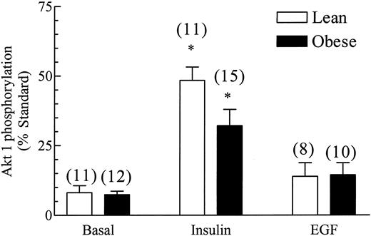 FIG. 5. Effect of insulin on Akt phosphorylation in human skeletal muscle stimulated with 10−7 mol/l insulin or 10−7 mol/l EGF. Phosphorylated Akt western blotting was performed on muscles that had been treated as described in Fig. 2. Muscles were processed as described in Fig. 2 except that the membranes were blotted with antiphospho-(serine 473)-Akt antibody. Values are in relative units expressed as a percent of a standard that was run on each gel and are presented as means ± SE. Numbers in parentheses indicate number of observations. *Significantly different from basal; †significantly different from lean insulin (P < 0.05).