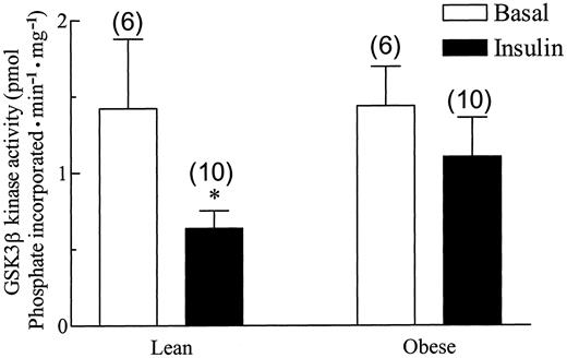 FIG. 6. GKS3β activity in human skeletal muscle stimulated with 10−7 mol/l insulin. Muscles were frozen in liquid nitrogen at the end of the stimulation period and stored at −80°C, then they were processed and used for immunoprecipitation and subsequent GKS3β kinase assays as described in research design and methods. Values are in pmol phosphate incorporated · min−1 · mg−1 protein and are presented as means ± SE. Numbers in parentheses indicate number of observations. *Significantly different from basal (P < 0.05).